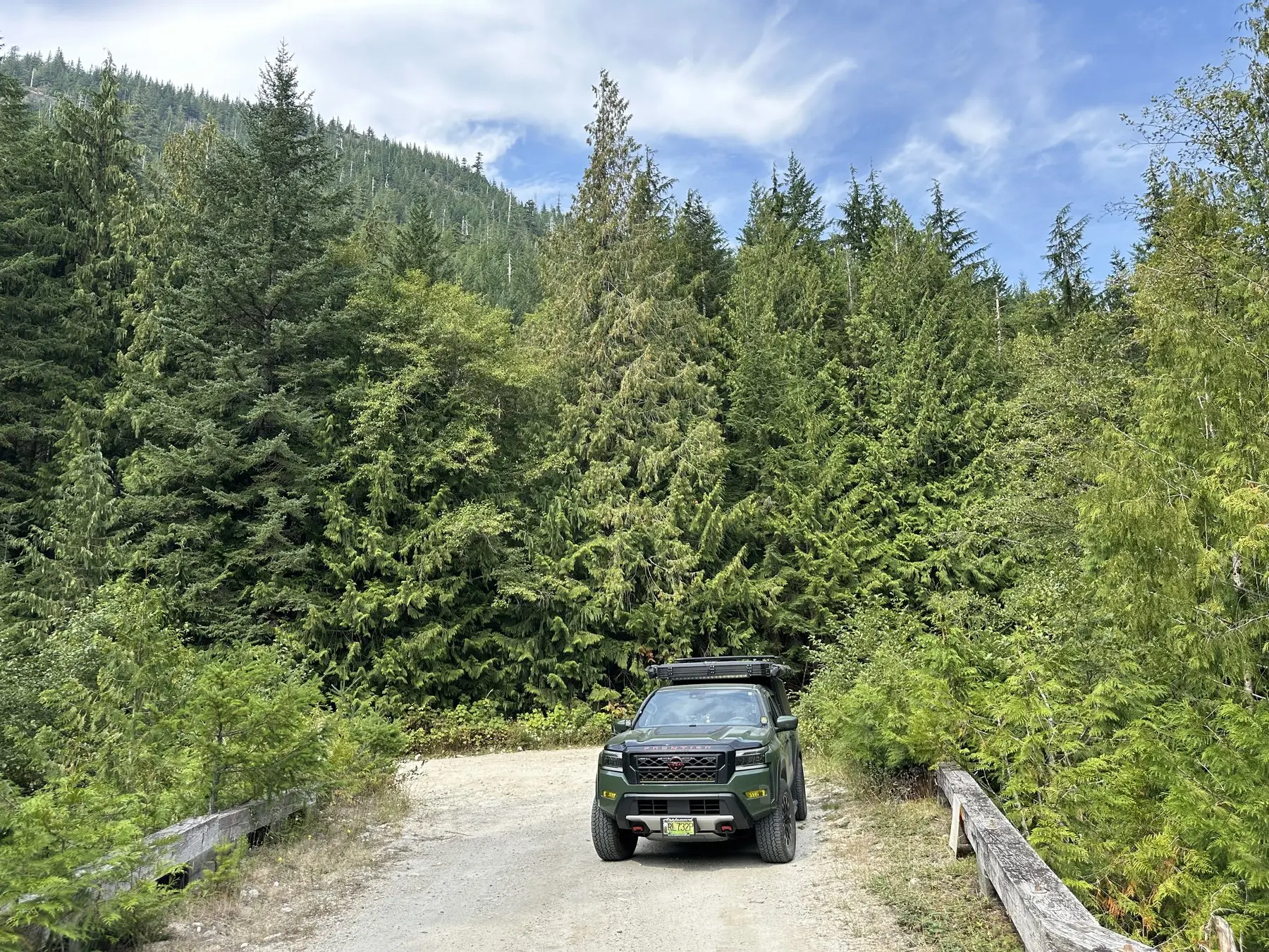 Frontier crossing a forest bridge